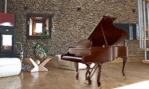 move baby grand (1)
